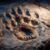 Dinosaurs that did not become fossils