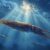 The Cretaceous Sea and Squid