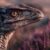 Did dinosaurs get sunburned