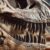 Dinosaur teeth alignment