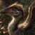 Dinosaurs washed their faces with their wings.