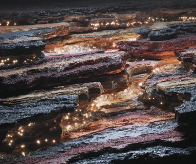 how-coal-was-born-carboniferous-peat-black-time-capsule